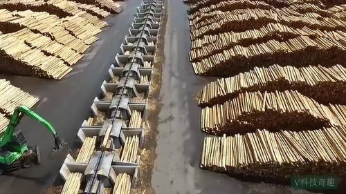 饮食文化是由人们，老师傅教你避开常见坑